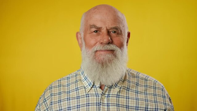 Portrait of an elderly gray-haired bearded man in a shirt who nods his head, with his hand stroking his beard smiling, isolated on a yellow background. A man looks at the camera. Close-up.