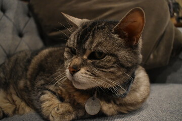 Camping Station Chêne Rouge 7 Au 12 Janvier 2024 - 1027