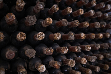 close up of old wine bottle in the cellar 