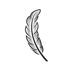Keuken foto achterwand Veren Feather in cartoon, doodle style . Image for t shirt. Isolated 2d vector illustration in logo, icon, sketch style, Eps 10, black and white. AI Generative