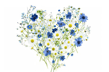 Blue and white summer flowers in heart of shape. Illustration on white background. Minimalistic floral illustration.