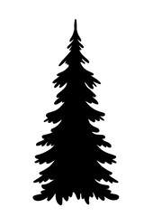 Fir tree, Pine Tree, Christmas tree, Tree, forest, nature, Tree shape, Christmas tree silhouette