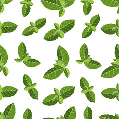 Seamless pattern with green mint leaves.Vector graphics.	