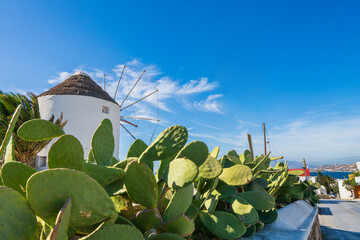 Boni's Windmill on Mykonos island, Cyclades, Greece