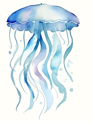 Jellyfish watercolor illustration on white background.