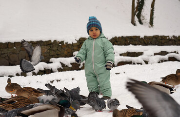 Cute baby boy wearing overall playing with birds at the park in winter