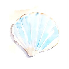 Scallop watercolor on white background.