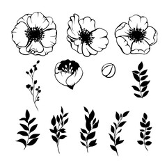 Anemone flower wreath composition set. Vector spring flowers