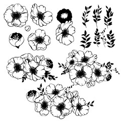 Anemone flower wreath composition. Vector spring, summer flowers and leaves silhouette bouquet border contour set