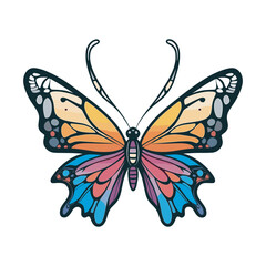 hand drawn art style of butterfly colorful illustration