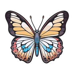hand drawn art style of butterfly colorful illustration