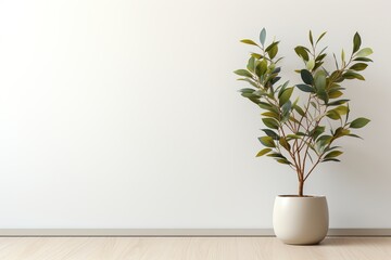 Potted plant in front of a wall