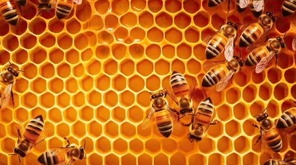 Fotobehang Bees Working in the Honeycomb. Bees in honeycomb with honey © @_ greta