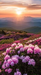Serene Pink Flower Field With Majestic Mountain Backdrop