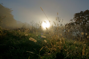濃霧に霞む冬の田舎の朝