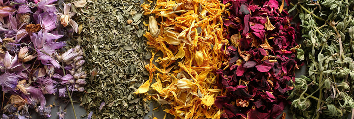 assortment of dry tea, healing herbs in with chamomile and essentials, panorama backgrounds banner. - obrazy, fototapety, plakaty