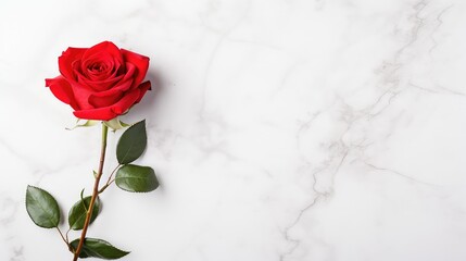 elegant marble roses background illustration texture romantic, vintage soft, petals bloom elegant marble roses background