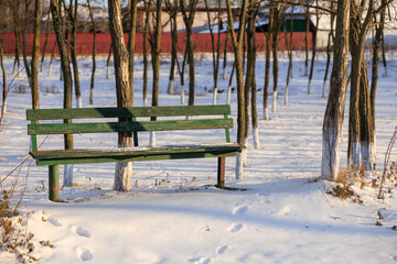 Fototapeta na wymiar Bench in a winter park. Background with selective focus and copy space