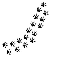 animal footprint icon