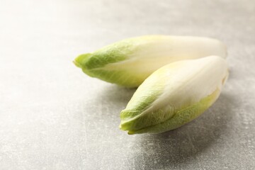 Fresh raw Belgian endives (chicory) on light grey table, closeup. Space for text