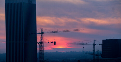 Silhouette of Cranes During Pink Sunset