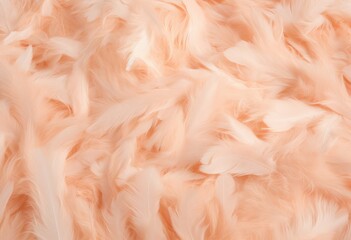 Beautiful pink feathers background in pastel colors. Watercolor illustration of colorful fluffy feather. Peach fuzz - color of 2024 year. Minimal abstract pattern with copy space