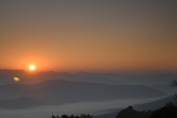 Fluffy sea of fog is covering a forest valley in a sunrise time