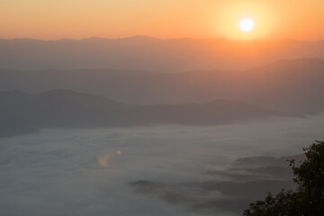 Fluffy sea of fog is covering a forest valley in a sunrise time