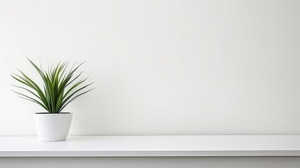 simple minimal white background illustration modern sleek, elegant monochrome, neutral fresh simple minimal white background