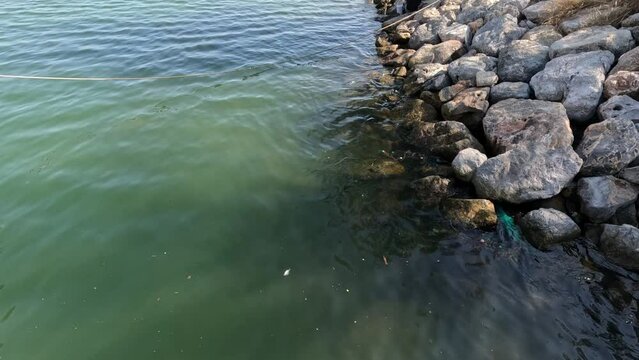 Rippling Water by Rocky Shore