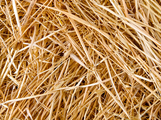 background from straw of hay