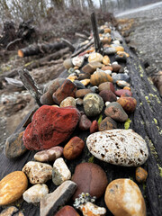 Rock collection on the beach