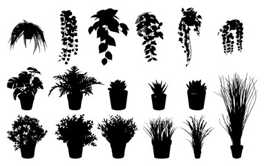 Tropical Plants Silhouette Vector Illustration - Decorative Indoor houseplants in black and white