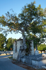 Colon Funerary Monument. National Monument of Cuba. One of the biggest cementeries in the world