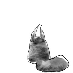 冬毛のニホンリスの後ろ姿　手描き風