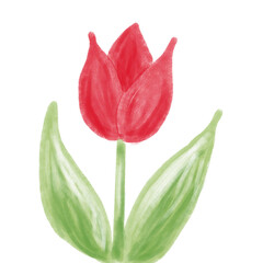 手描き風チューリップ　