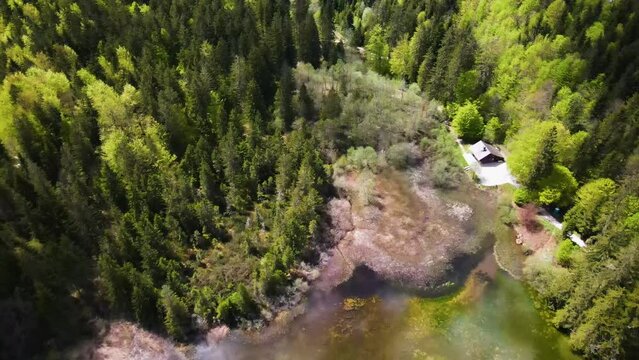 Drohnenflug &uuml;ber dem See mit Wald und Bergen