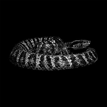 Viper hand drawing vector isolated on black background.