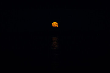 moon rising in the night