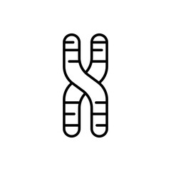 Chromosome outline icons, minimalist vector illustration ,simple transparent graphic element .Isolated on white background
