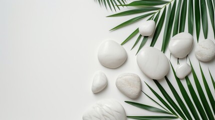 Top view of natural white stones and palm leaves on a white background. Spa background, top view. A tropical summer background for luxury product placement