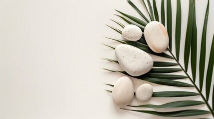 Obraz na płótnie Canvas Top view of natural white stones and palm leaves on a white background. Spa background, top view. A tropical summer background for luxury product placement