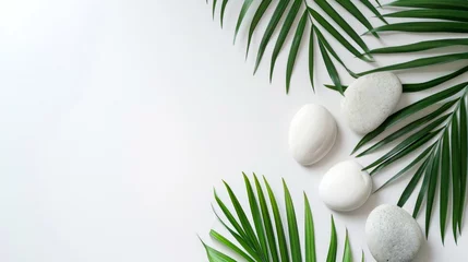 Fototapete Badezimmer Top view of natural white stones and palm leaves on a white background. Spa background, top view. A tropical summer background for luxury product placement  © ND STOCK