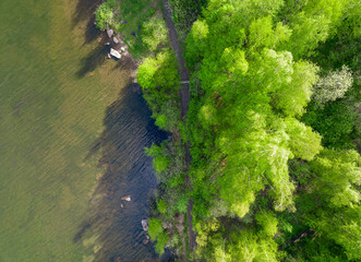 Aerial view of lake or river green shore with forest. Summer season.