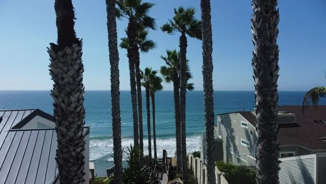 Aerial Shot - Palm Trees to Ocean
