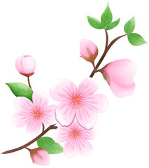 Cherry Blossoms high quality clipart 7 png Elements 