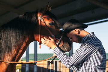 Man taking care of his brown horse in an equestrian center