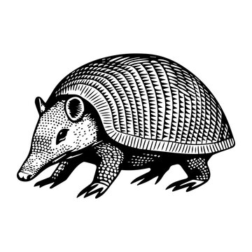 recommend clip art: Armadillo black silhouette logo svg vector, Armadillo icon illustration