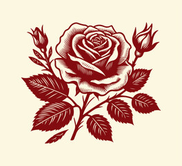 Rose Hand drawn illustration vector graphic asset