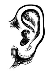 Human ear. Retro styled hand-drawn black and white illustration - 711200185